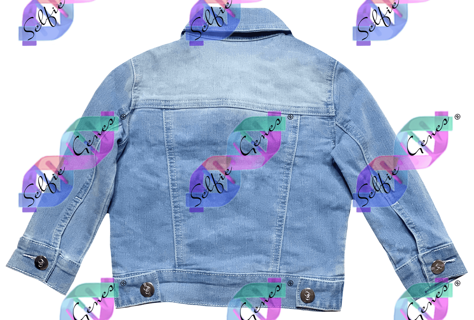 Toddler Girl's Denim Jacket